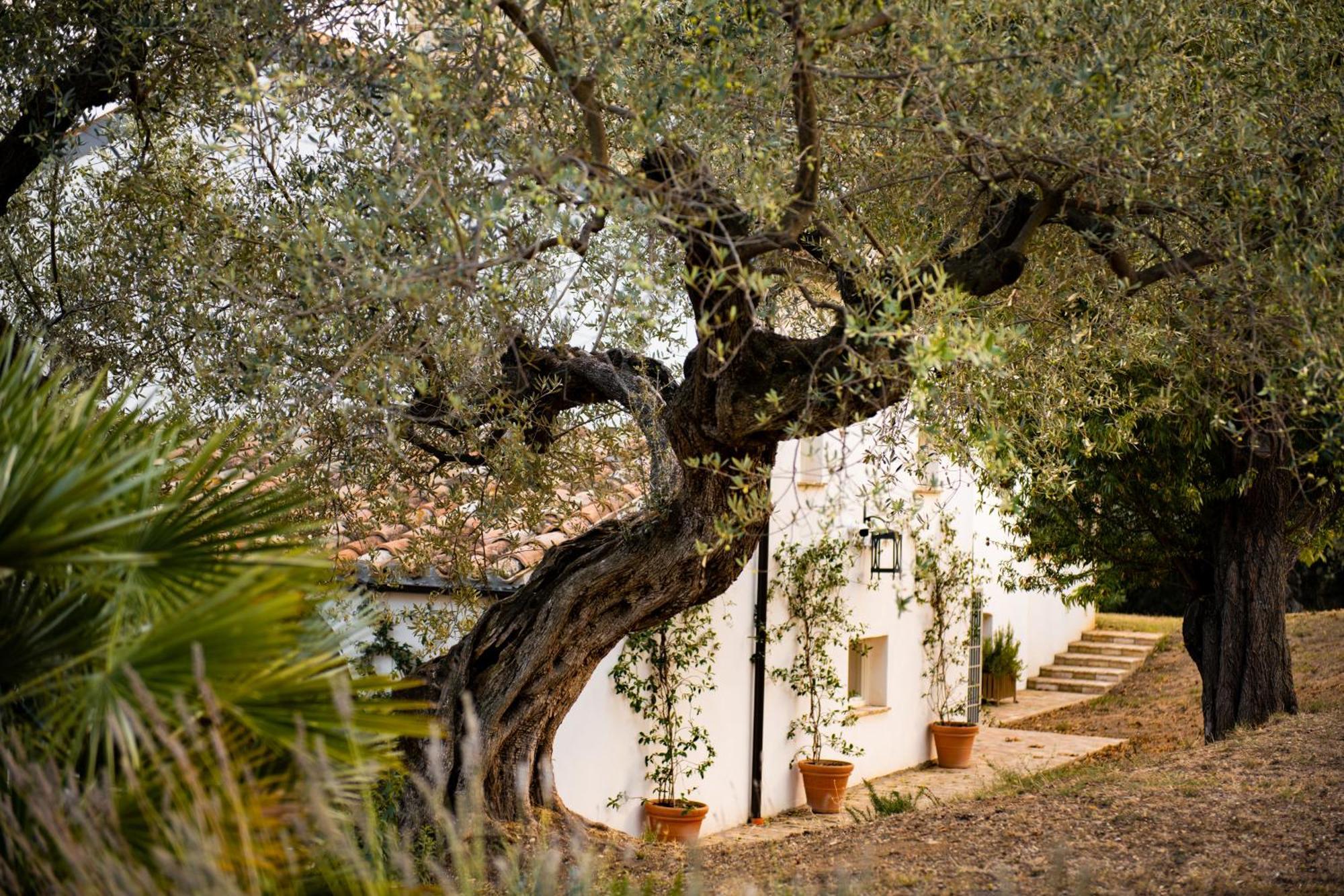 Casale Delle Lavande Città Sant'Angelo Exterior foto