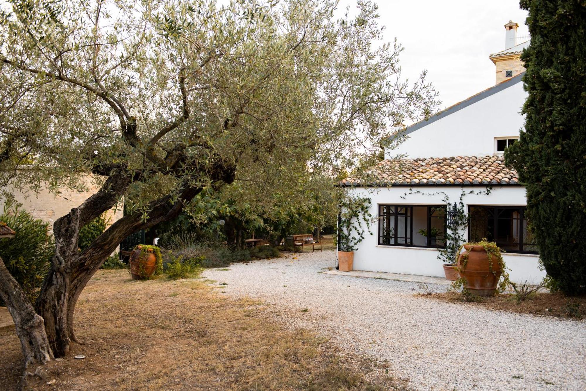 Casale Delle Lavande Città Sant'Angelo Exterior foto